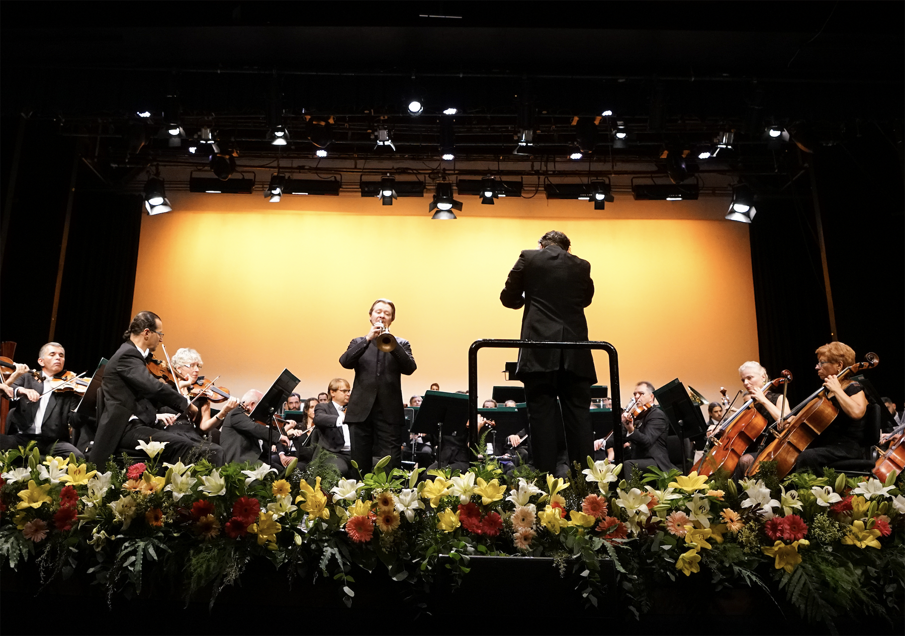 Orquestra Clássica da Madeira 