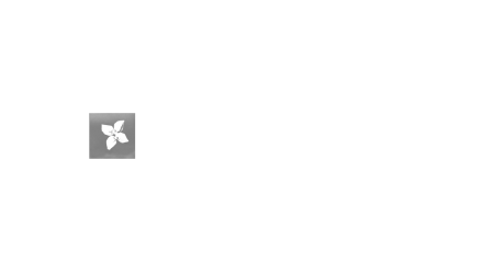 BPI Fundação La Caixa